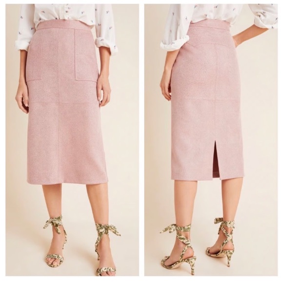 Anthropologie Blush Midi Skirt - Picture 3 of 7